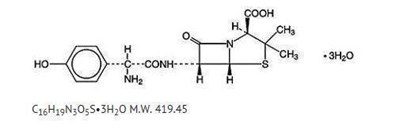 image description - module 1